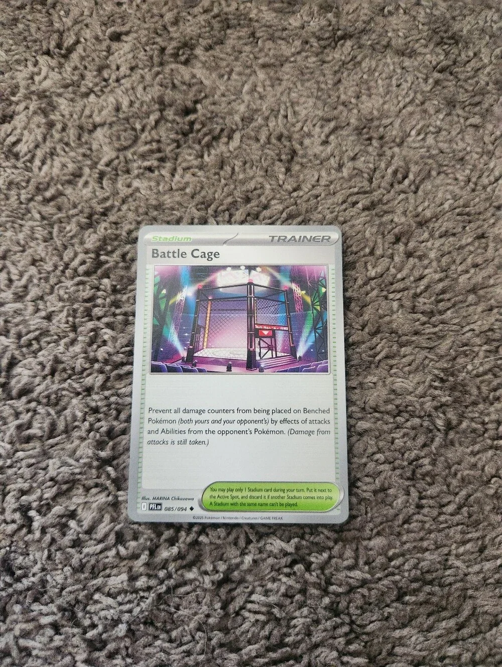 Pokemon battle cage